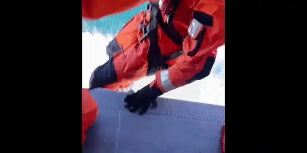 salvare gif gif