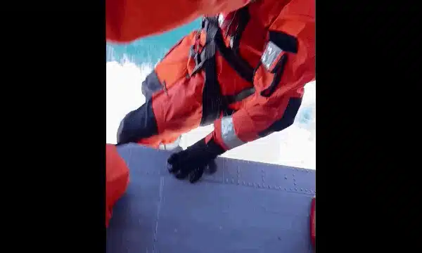 salvare gif gif