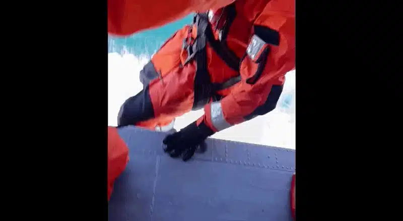 salvare gif gif