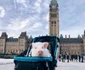 9 pig travel jpg jpeg