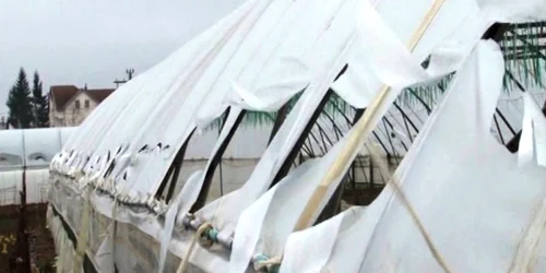 solarii vandalizate tgv