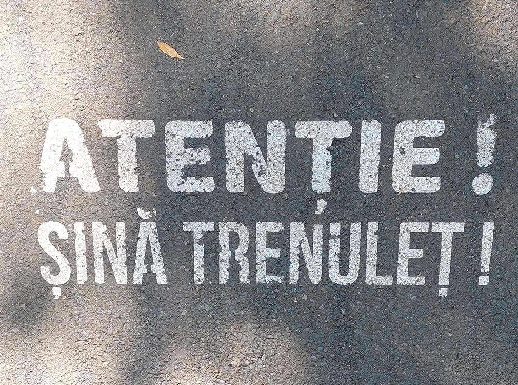 © D. Stanciu