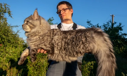 7 shutterstock 1369289105 jpg jpeg