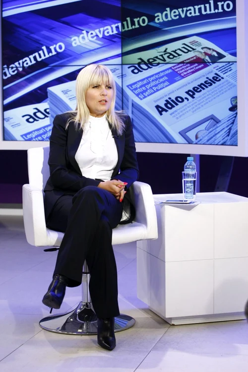 Dosarul Microsoft. Elena Udrea critică elibererea lui Gabriel Sandu şi a afaceristului Nicolae Dumitru FOTO David Muntean