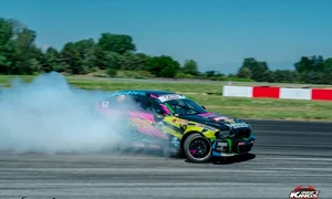 alice in actiune jpeg