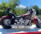 tort harley davidson foto arhiva personala raluca tircomnicu jpg
