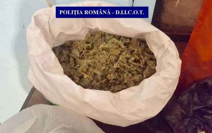 Poliţia a confiscat 6 kilograme de cannabis FOTO Poliţia Română