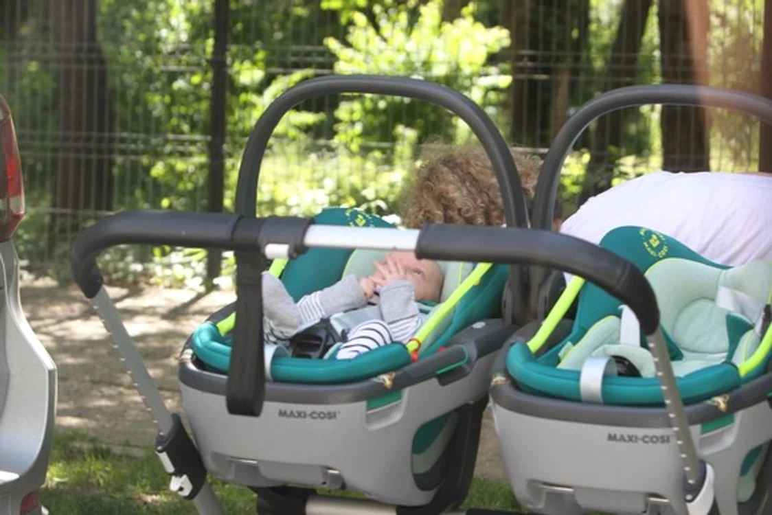 Gemenii au părut încântați de plimbarea prin parcul Herăstrău Sursă foto: Blitz!/Click!