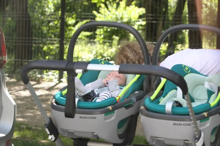 Gemenii au părut încântați de plimbarea prin parcul Herăstrău Sursă foto: Blitz!/Click!