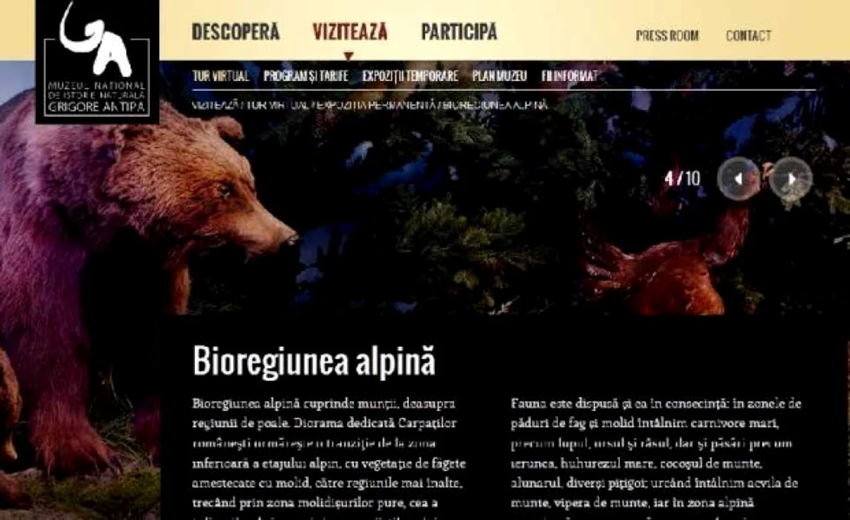 muzee virtuale