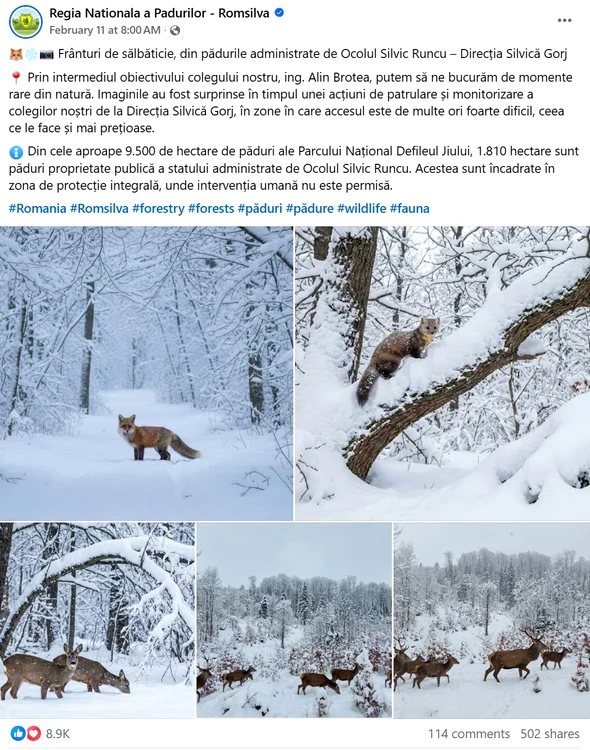 636171682 35004623829136940 3841809291052554590 n jpg