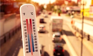 canicula bucuresti jpg