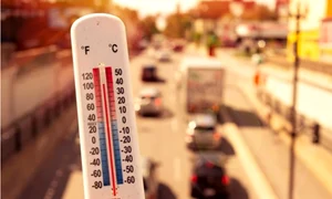 canicula bucuresti jpg