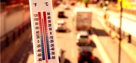 canicula bucuresti jpg