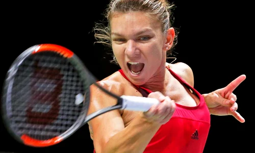 halep h 53854684 jpeg