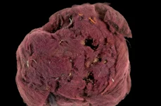 Roman era purple jpg