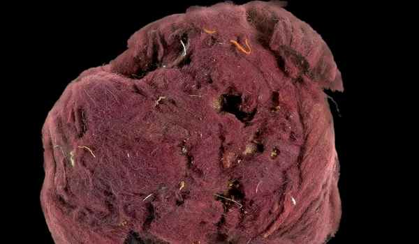 Roman era purple jpg