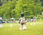 Karpatia Show 1 (25) jpg