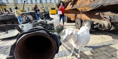 Oamenii privesc resturile tancurilor rusesti distruse expuse in piata Mikhailovsaya din centrul Kiev Ucraina FOTO Profimedia