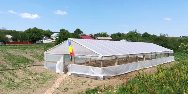 sera scolara ivanesti