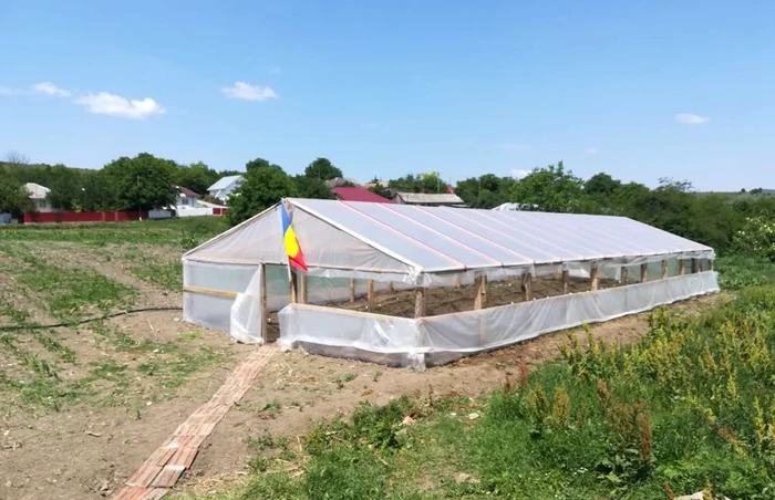 Elevii se vor ocupa de creşterea plantelor în solar