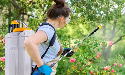 Femeie cu pompă de stropit în grădină Foto eMAG jpg