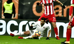 filip steliano dinamo rps1484 jpeg