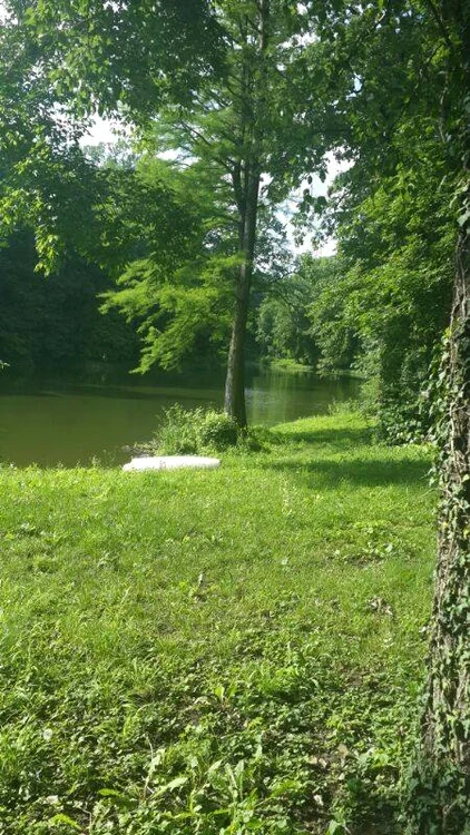 Andreea Marin (FOTO FACEBOOK)