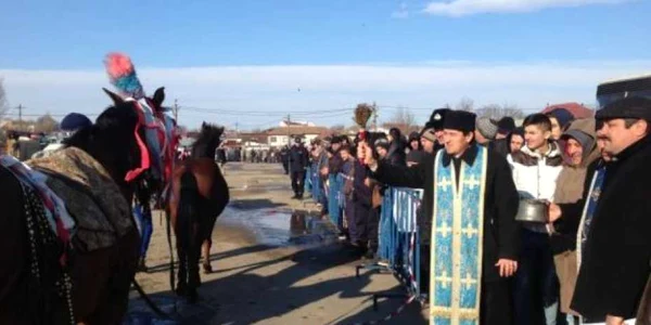 Zeci de cai vor fi botezaţi la Băileşti