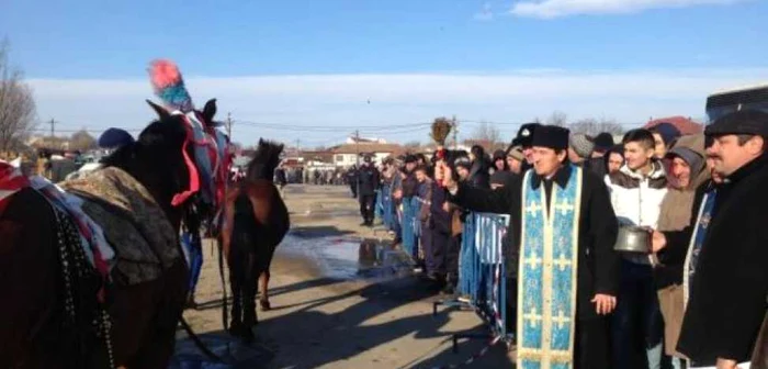 Zeci de cai vor fi botezaţi la Băileşti