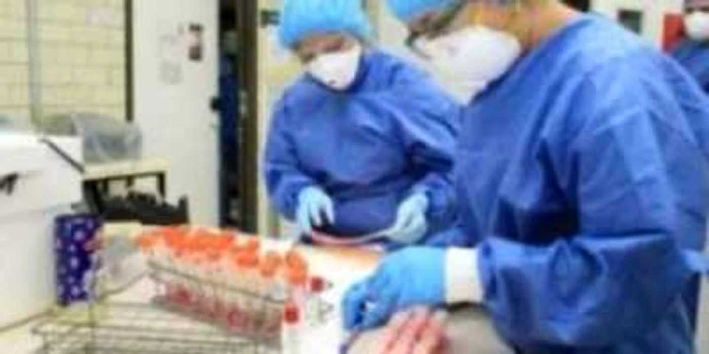 Hunedoara: Primul hunedorean infestat cu virusul gripei “porcine” s-a vindecat subit