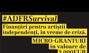 Micro granturi pentru artiștii independenți jpeg