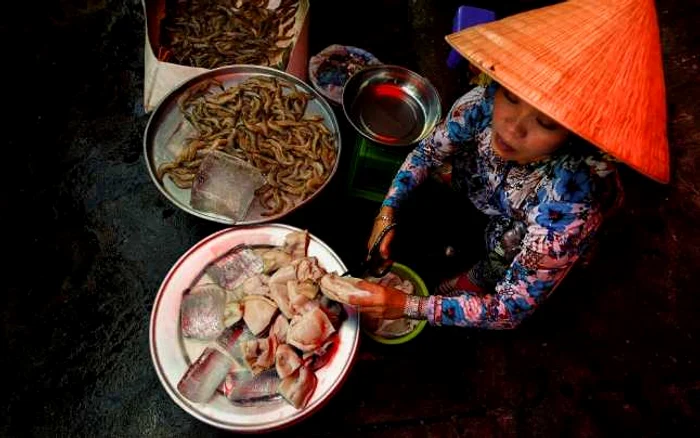 bogdan comanescu vietnam