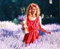 Lavanda 9 jpg