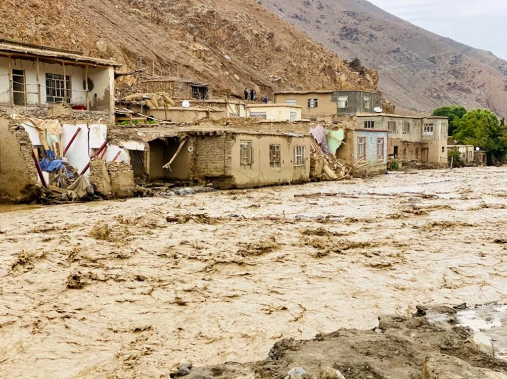 Foto: Twitter/ IOM Afghanistan