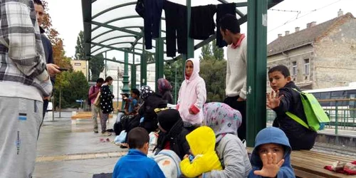 Copii imigranti Ungaria FOTO Daniel Dancea