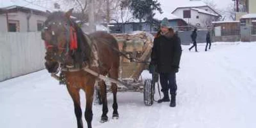 Focşaniul este împinzit de căruţaşi 