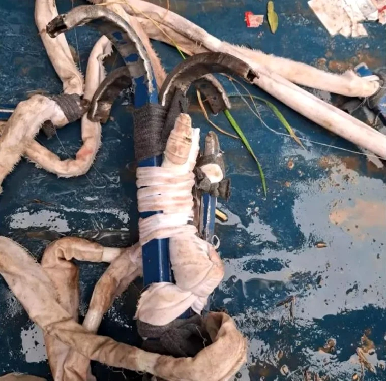 Cârligul folosit pentru a evada. FOTO: lanazione