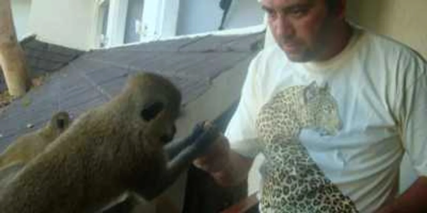 Cristian Vătău a fost arestat pentru că a cumpărat animale cu dolari falşi Foto: facebook.com