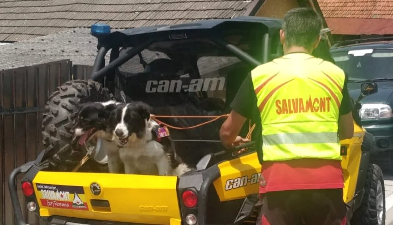 Doi câini de salvare montană îi ajută pe salvamontiştii gorjeni FOTO: Salvamont Gorj