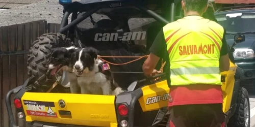 bruno caine salvare montana