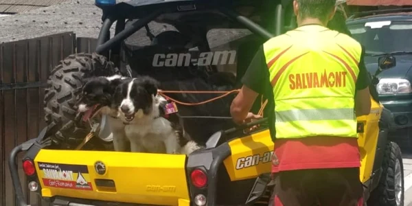 bruno caine salvare montana