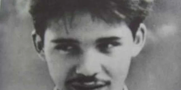 nicolae labis jpeg