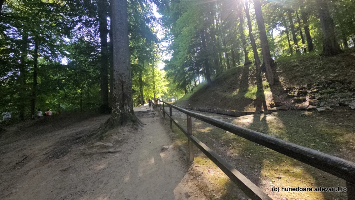 Saemizegetusa Regia  Foto Daniel Guță, ADEVĂRUL (9) jpg