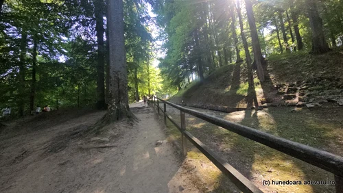 Saemizegetusa Regia Foto Daniel Guță, ADEVĂRUL (9) jpg