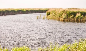 Cursuri de reportaj cu Viorel Ilișoi jpeg