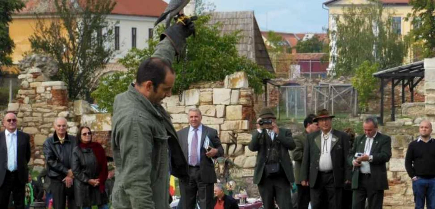 Şoimii sunt păsări de pradă ce pot fi dresate