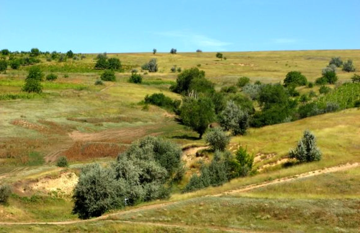 Locul unde a fost satul Huştiu FOTO Costel Crângan