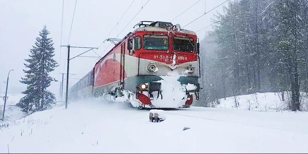 tren zapada jpeg