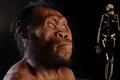 Homo naledi National Geographic jpg